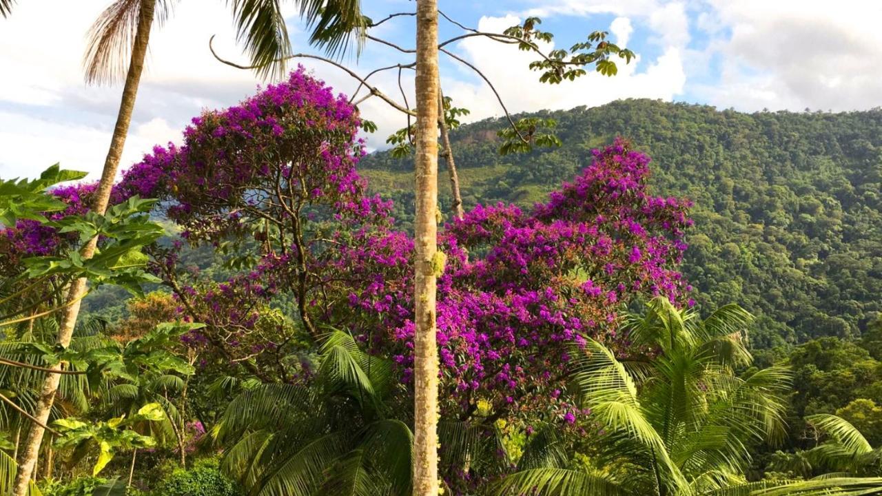 Casa Da Floresta Pico Da Aguia Araquari Zewnętrze zdjęcie