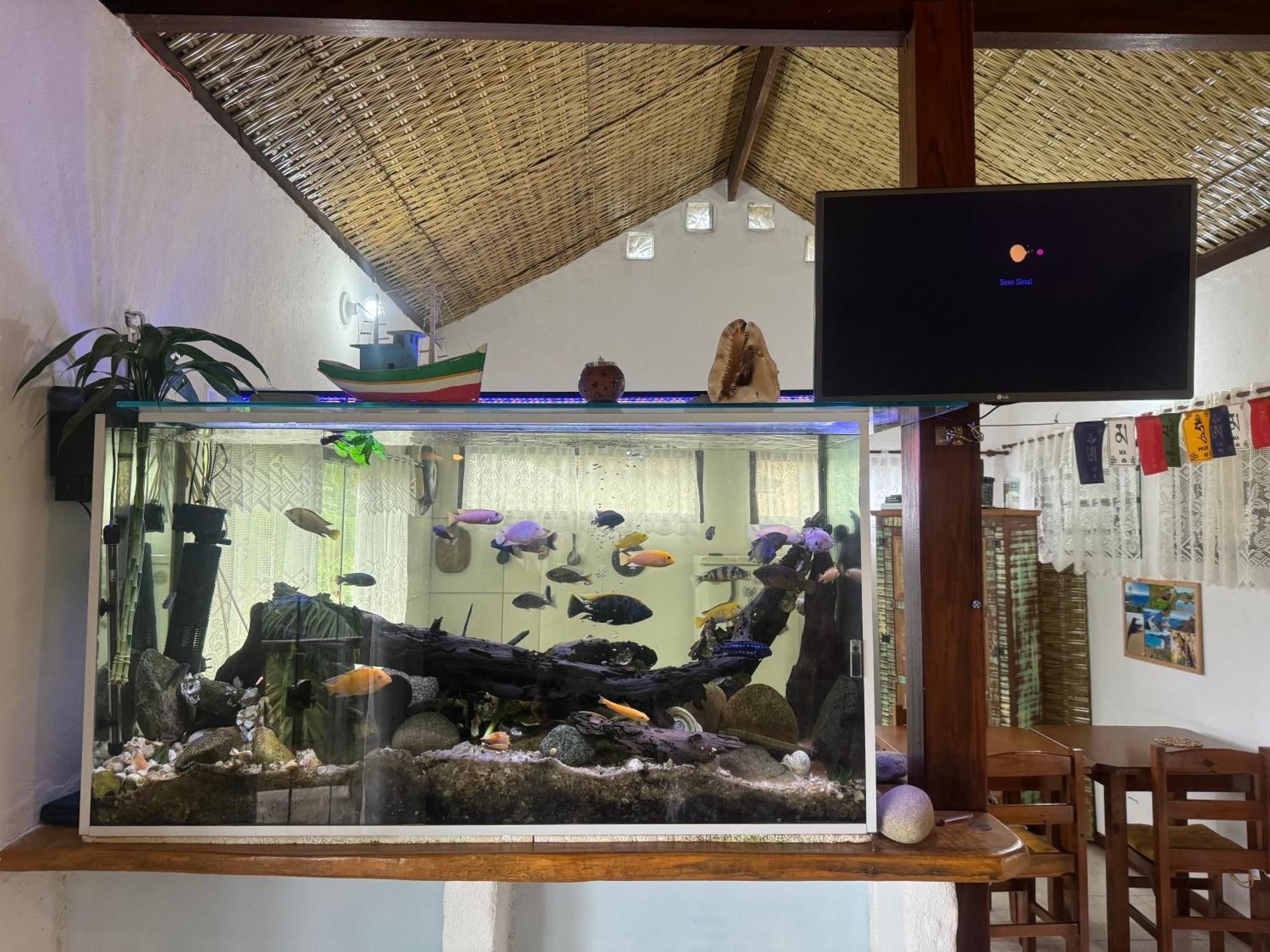 Casa Da Floresta Pico Da Aguia Araquari Zewnętrze zdjęcie