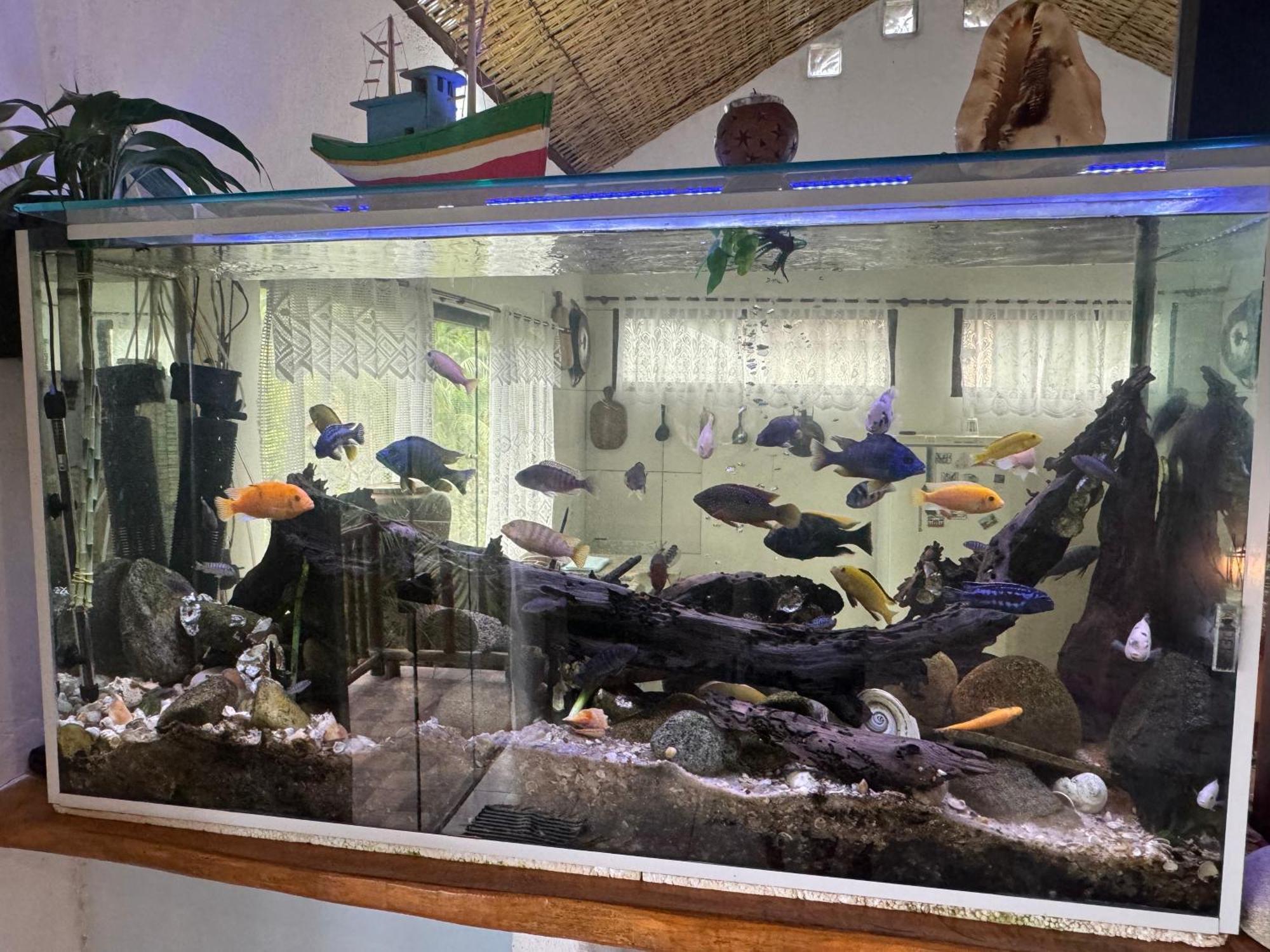 Casa Da Floresta Pico Da Aguia Araquari Zewnętrze zdjęcie