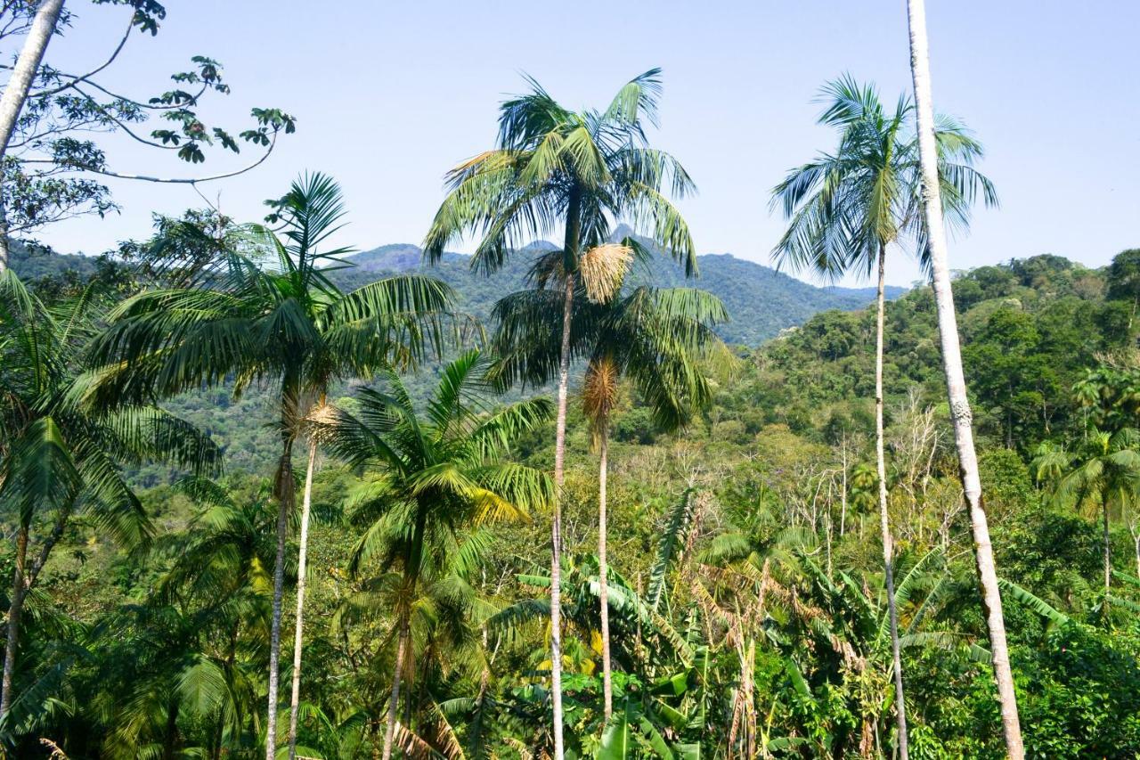 Casa Da Floresta Pico Da Aguia Araquari Zewnętrze zdjęcie